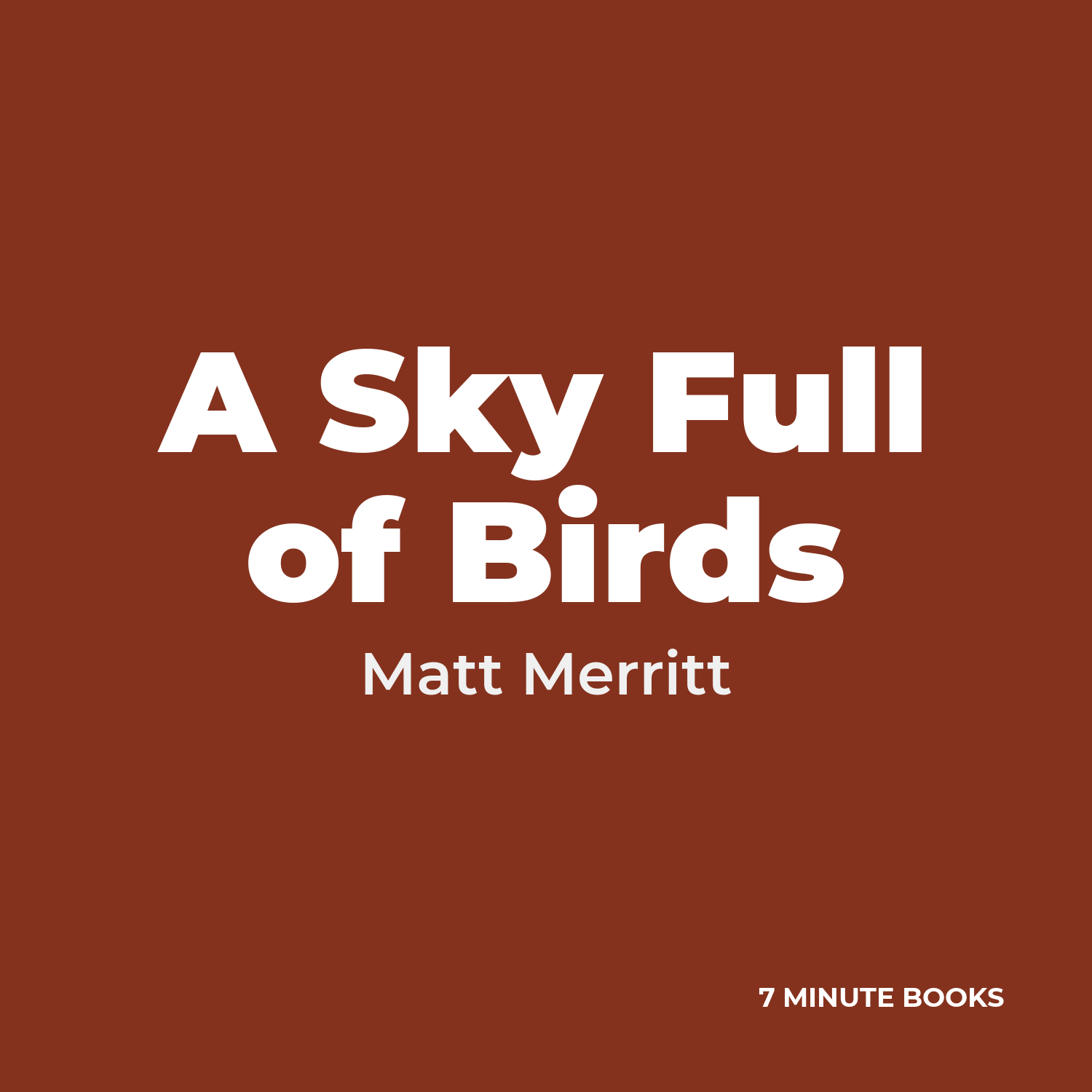 A Sky Full of Birds cover