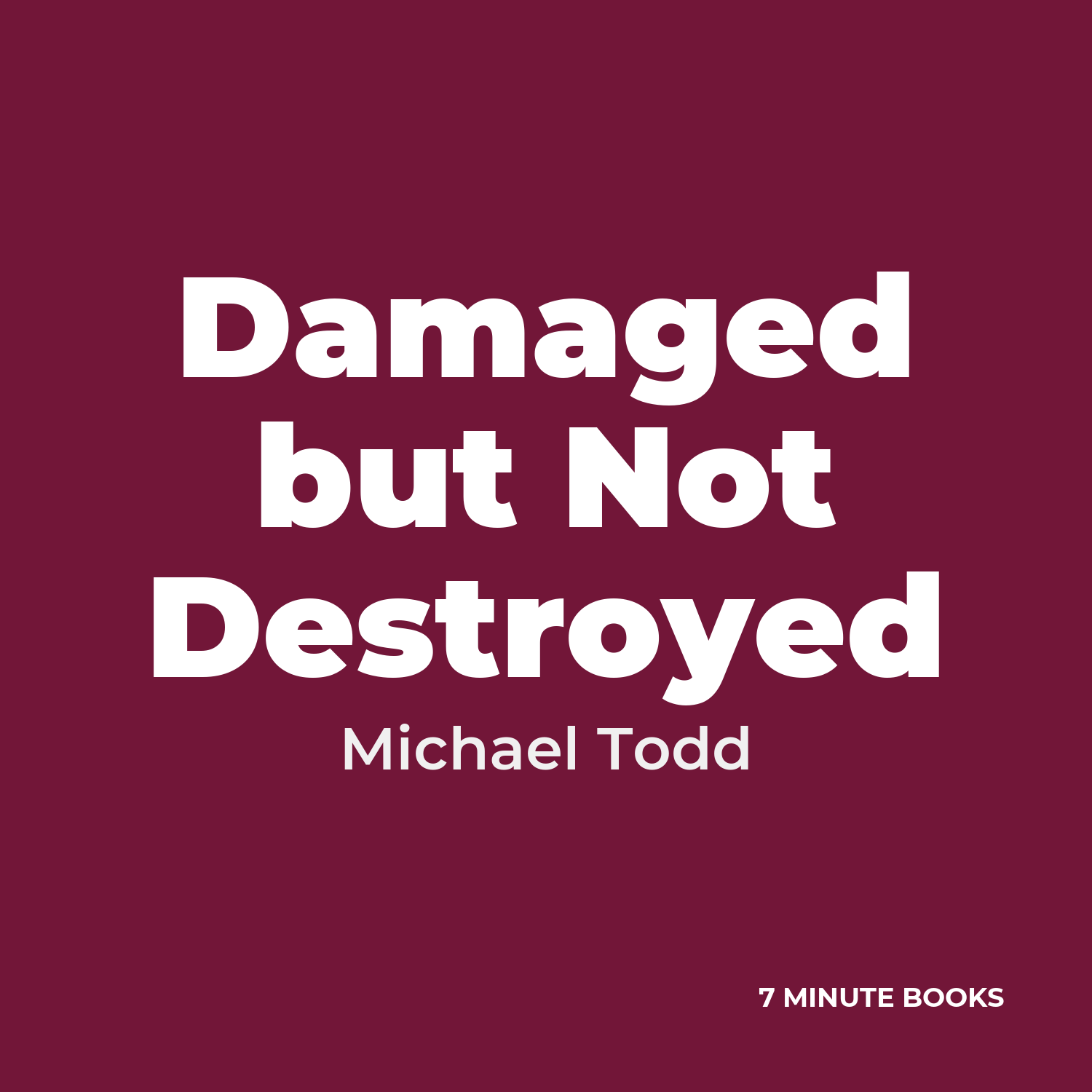 Damaged but Not Destroyed cover