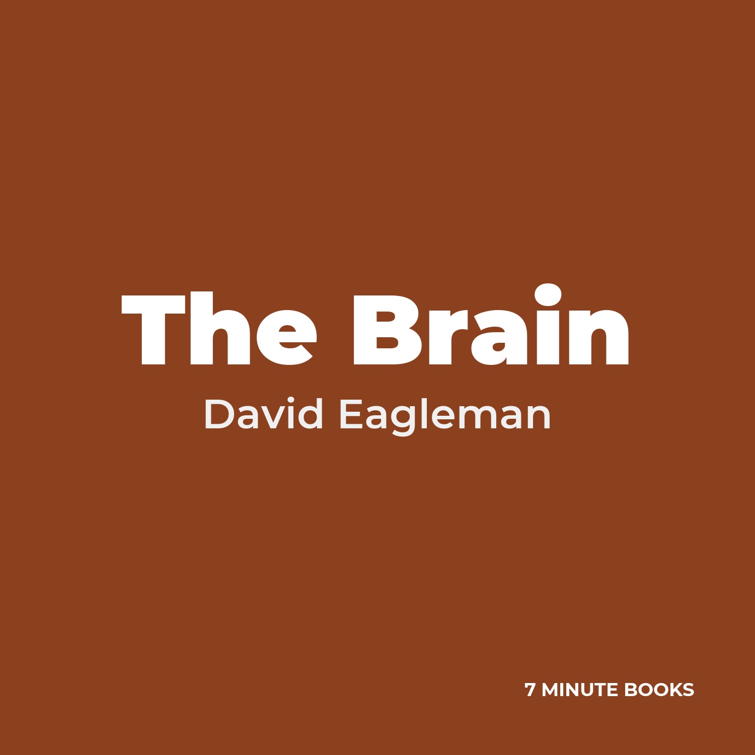 The Brain — by David Eagleman