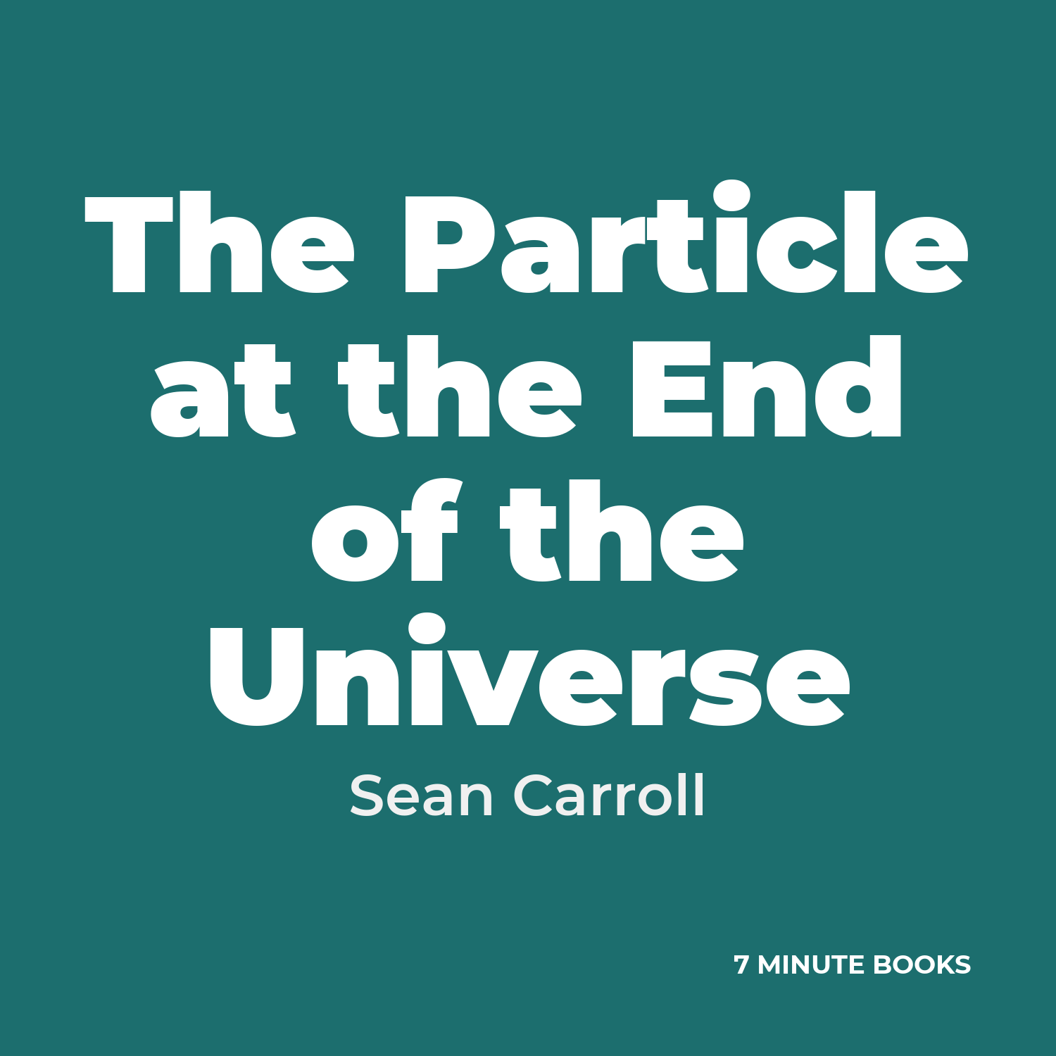 The Particle at the End of the Universe cover