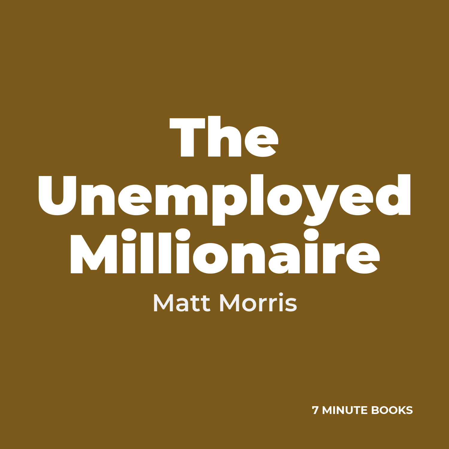 The Unemployed Millionaire cover