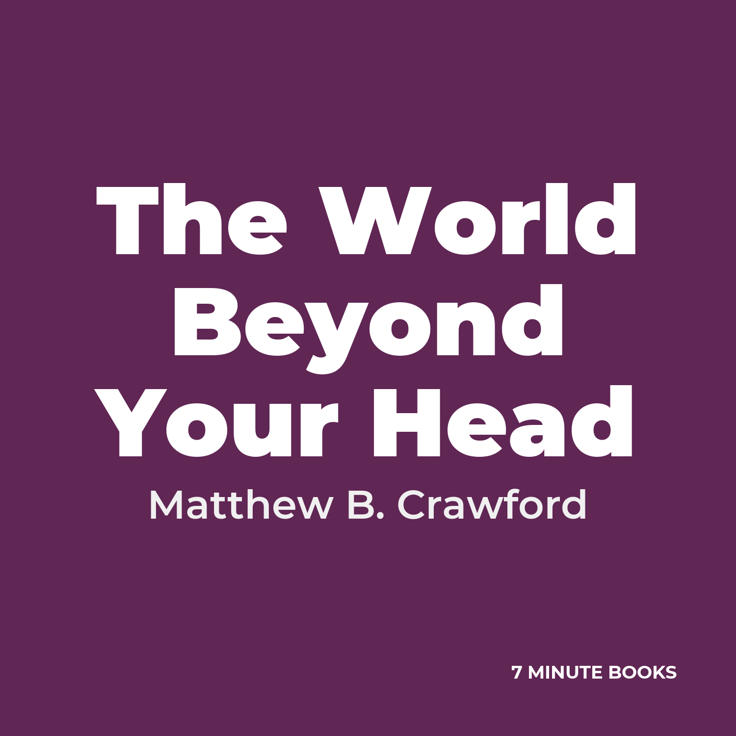 The World Beyond Your Head cover