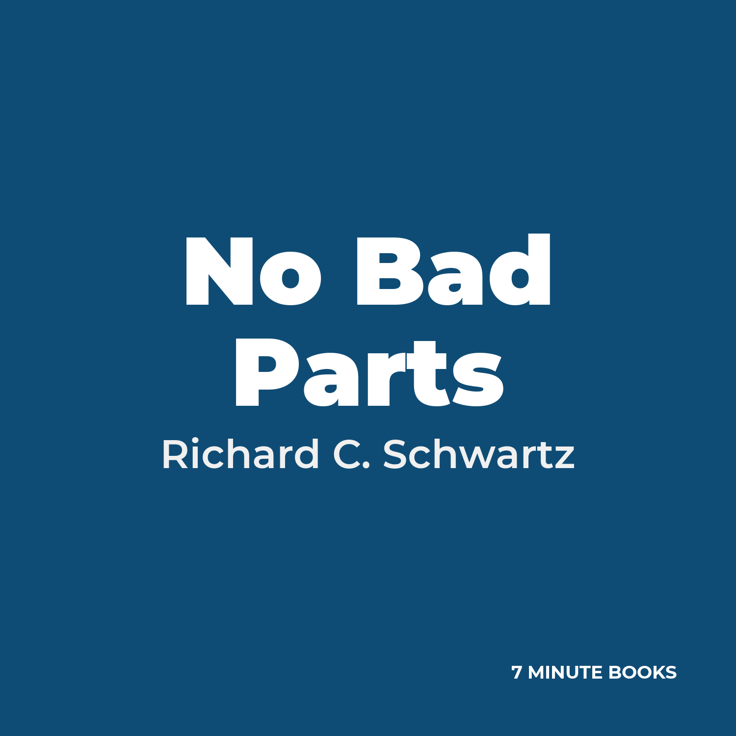 No Bad Parts cover