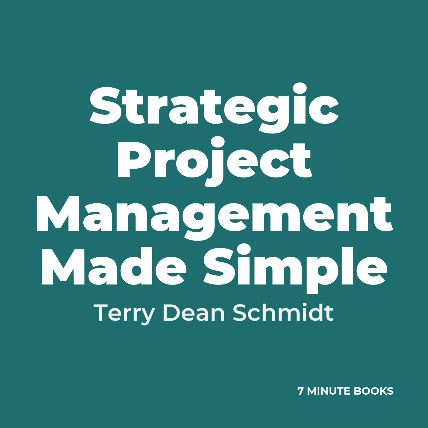 Strategic Project Management Made Simple cover