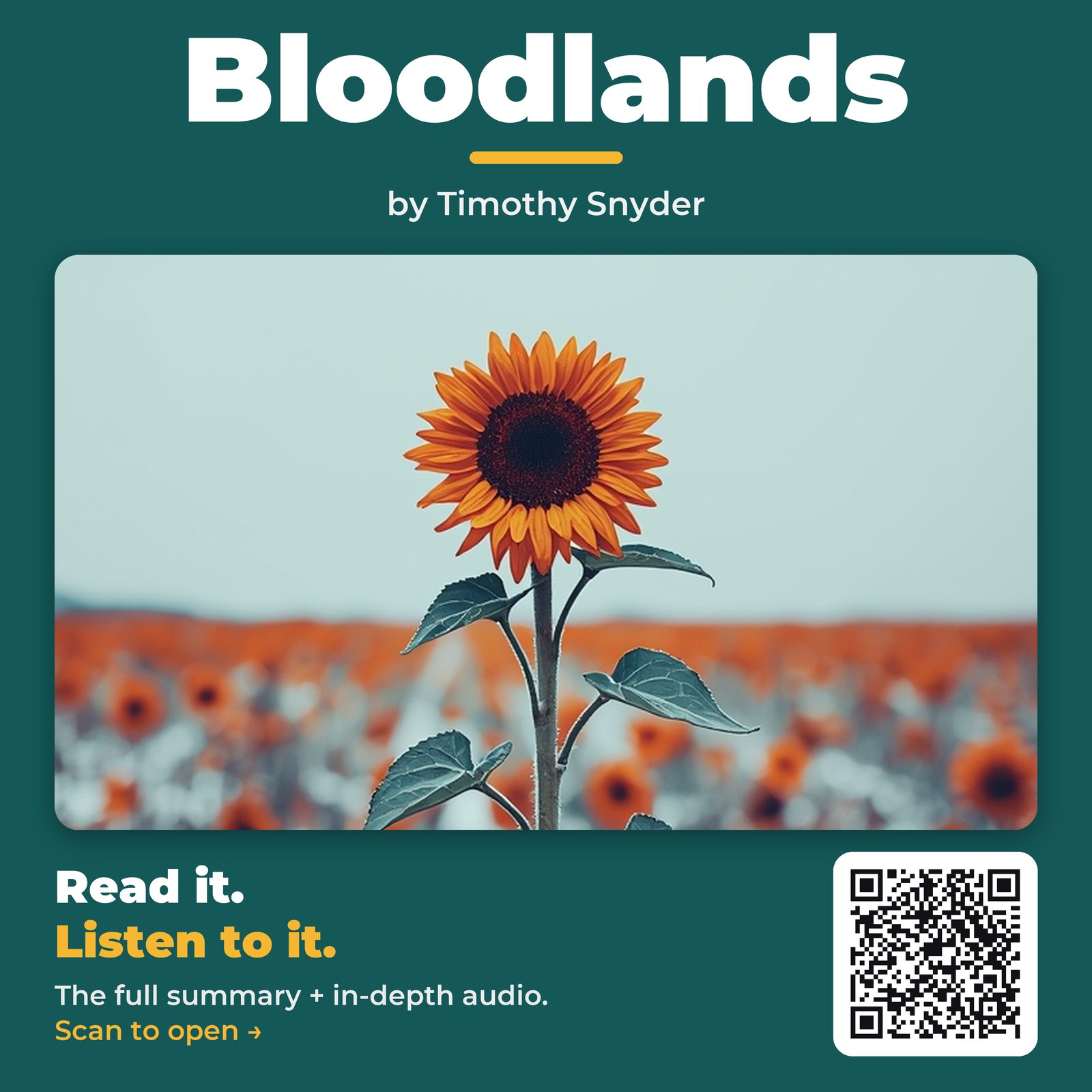 Bloodlands — by Timothy Snyder