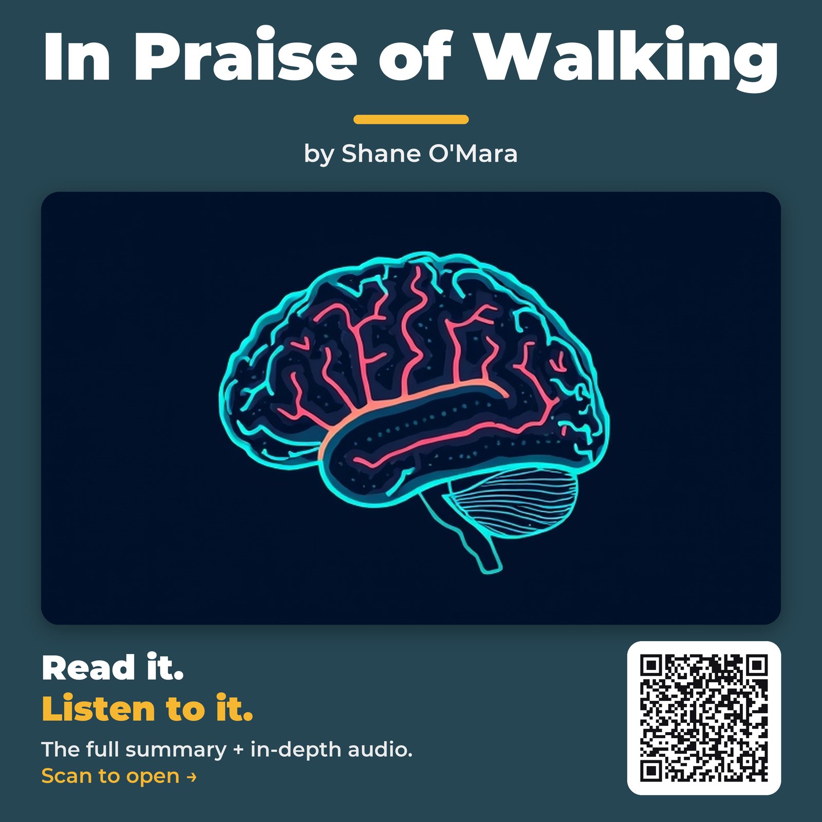 In Praise of Walking — by Shane O’Mara