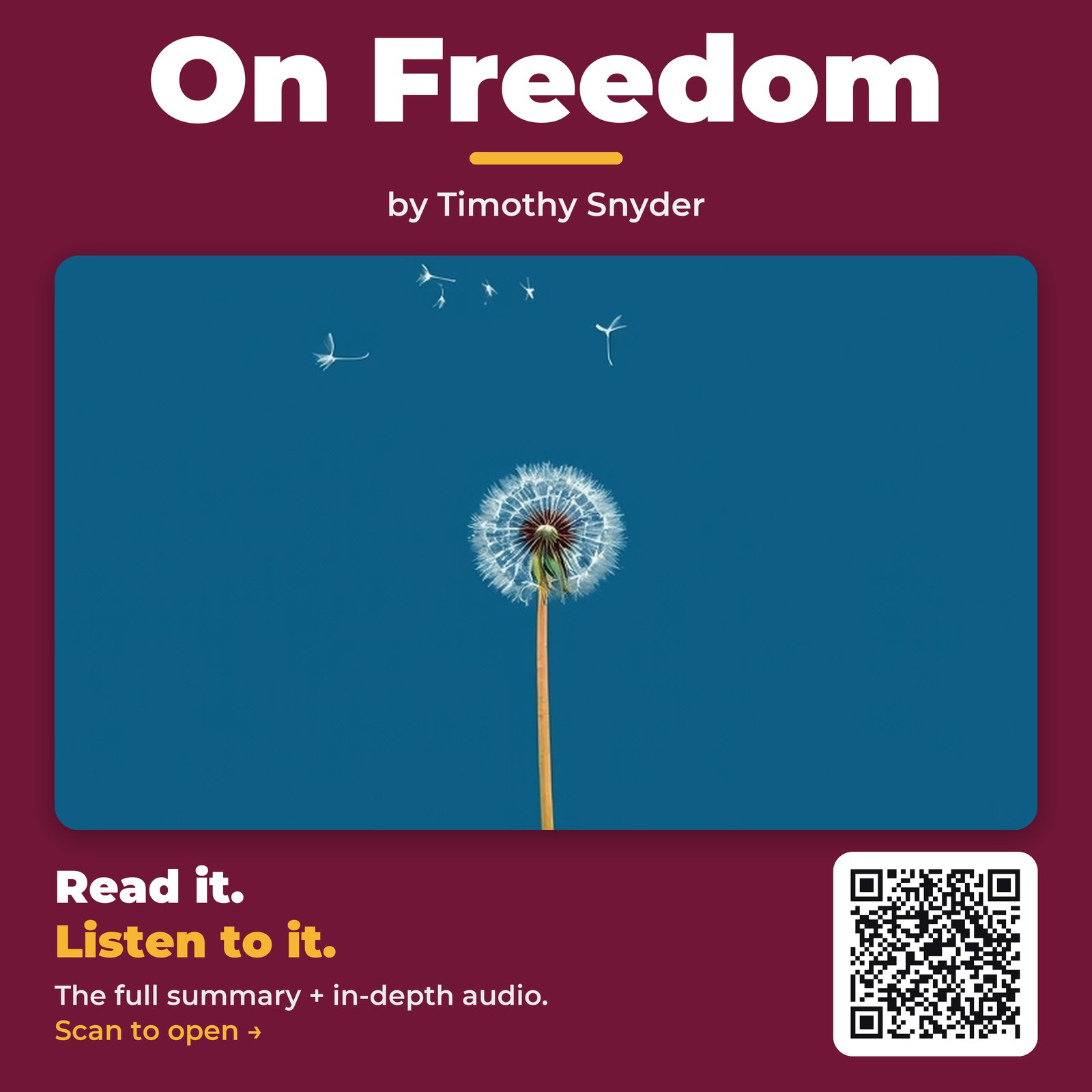 On Freedom — by Timothy Snyder