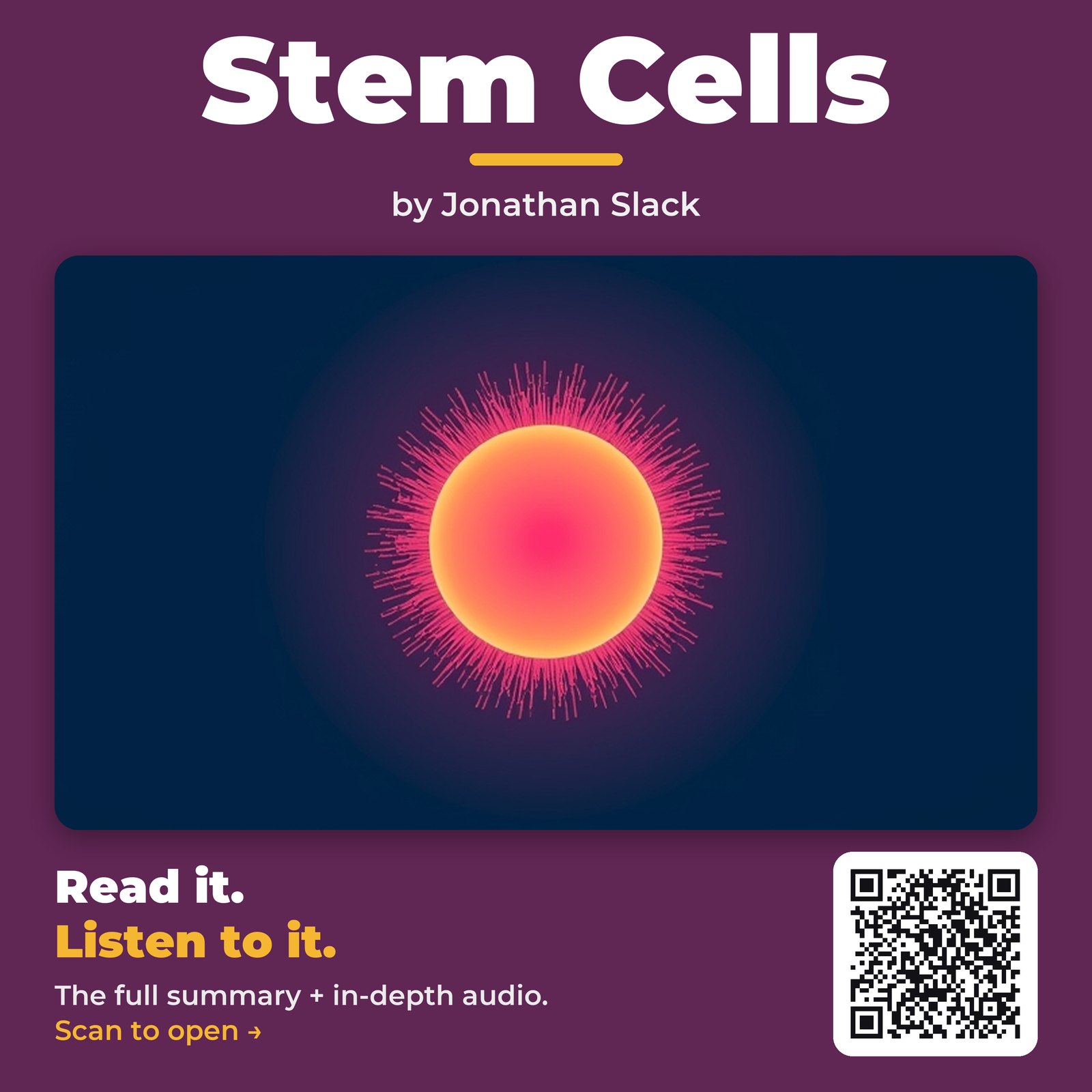 Stem Cells — by Jonathan Slack